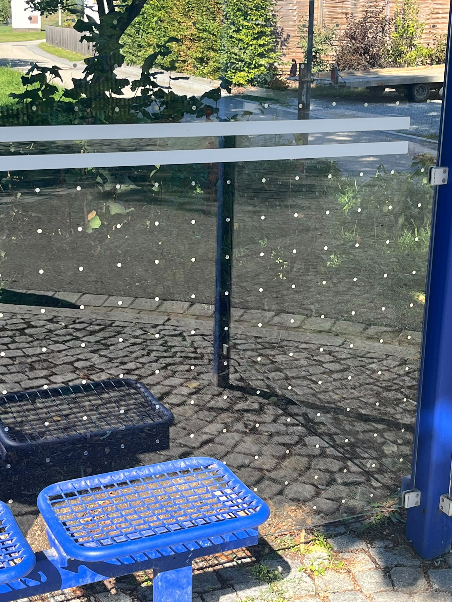 Das aufgebrachte Punktraster macht die Glasscheiben für Vögel sichtbar und bedeckt dabei weniger als ein Prozent der Scheibenfläche.